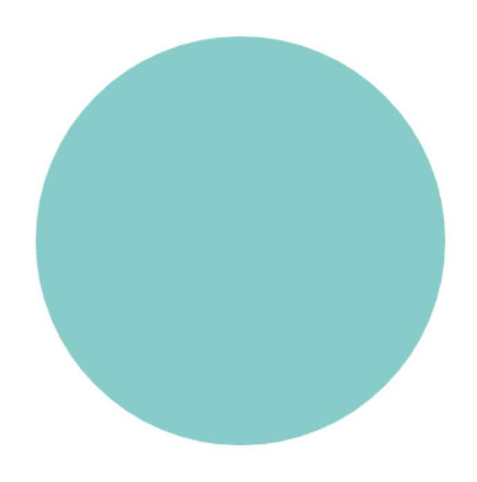 The teal circle which stands for the foundation of care.